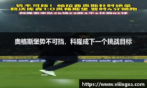 星空·综合体育