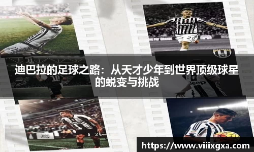 星空·综合体育