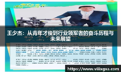 王少杰：从青年才俊到行业领军者的奋斗历程与未来展望