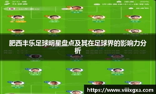 肥西丰乐足球明星盘点及其在足球界的影响力分析